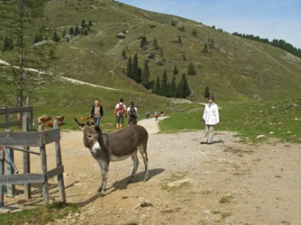 09.Vill. Alpe zum Dobratsch